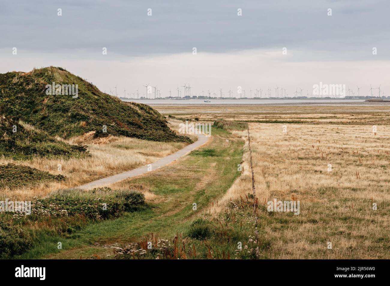 dune landscape on the north sea beach Stock Photo - Alamy