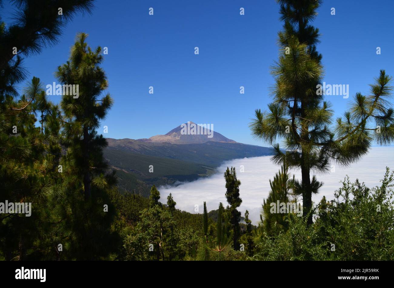 Low clouds covering the hill with a mountain in the background spotted ...