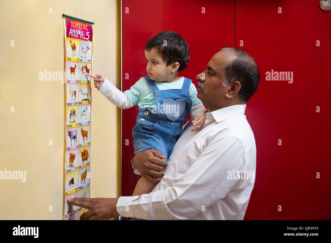 Grandchild recognizing the name of domestic animals with grandfather Stock Photo
