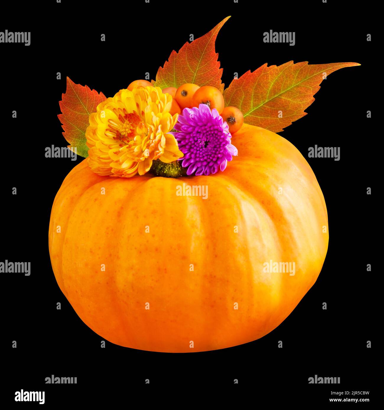 Colorful natural Autumn decoration with pumpkin, leaves and flowers on black background Stock Photo