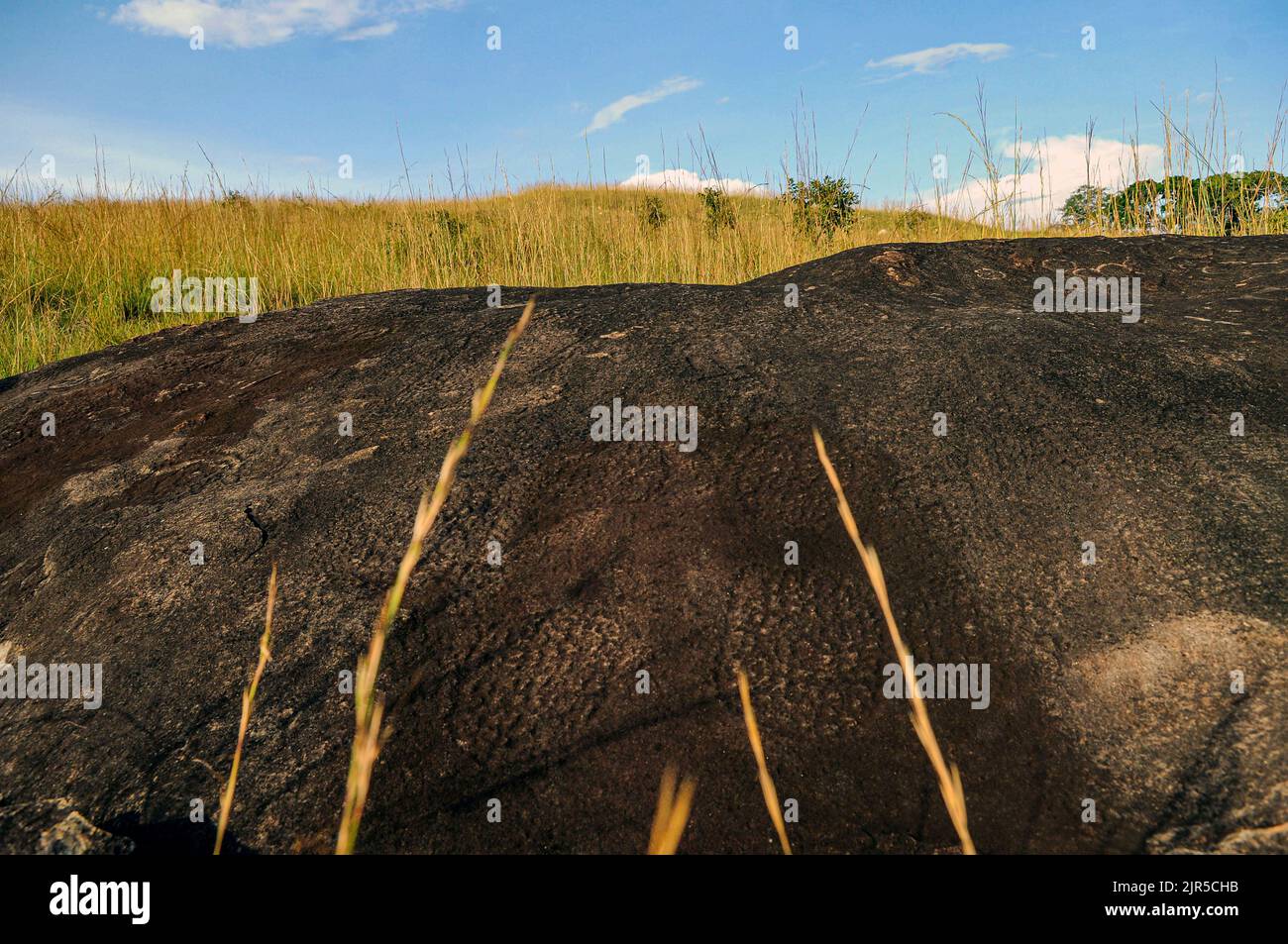 Gabon Source Rocks Rock engravings on a rock at the Lope National Park located in Booue ...
