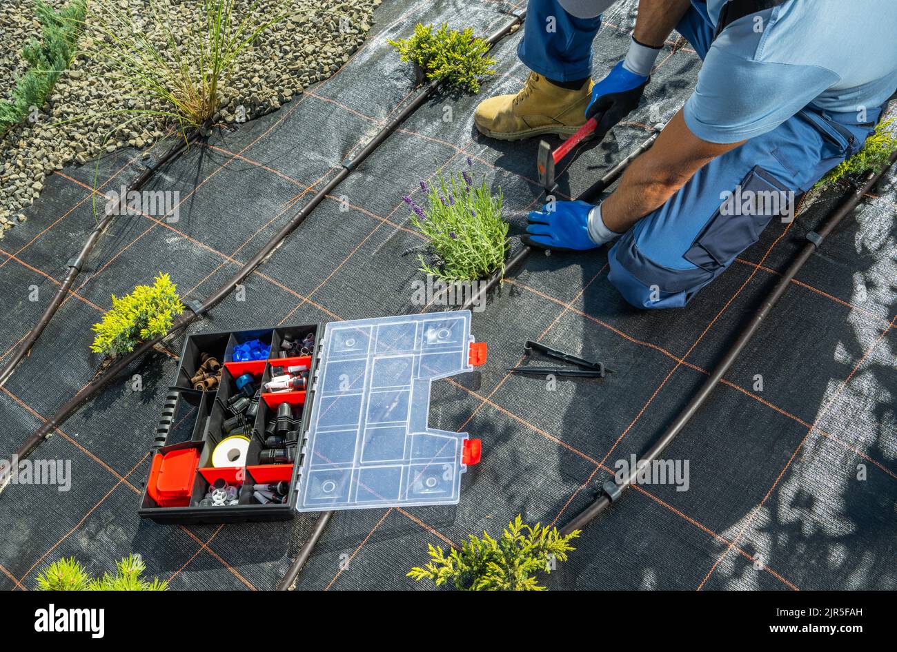 Professional Landscaping Worker Building Drip Irrigation System in a