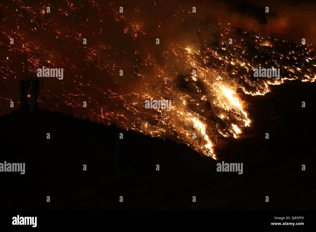 Sant'Agata di Puglia, Italia - 20 agosto 2022: l'incendio boschivo che ha distrutto la pineta del monte della Croce Stock Photo
