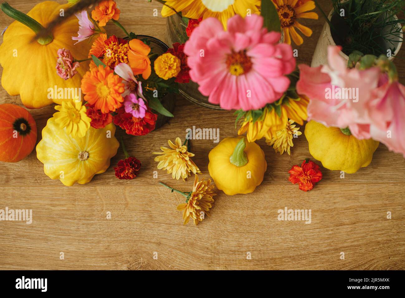 Stylish autumn composition. Colorful autumn flowers, pumpkins, pattypan squashes on rustic wood, top view. Seasons greeting card, space for text. Harv Stock Photo
