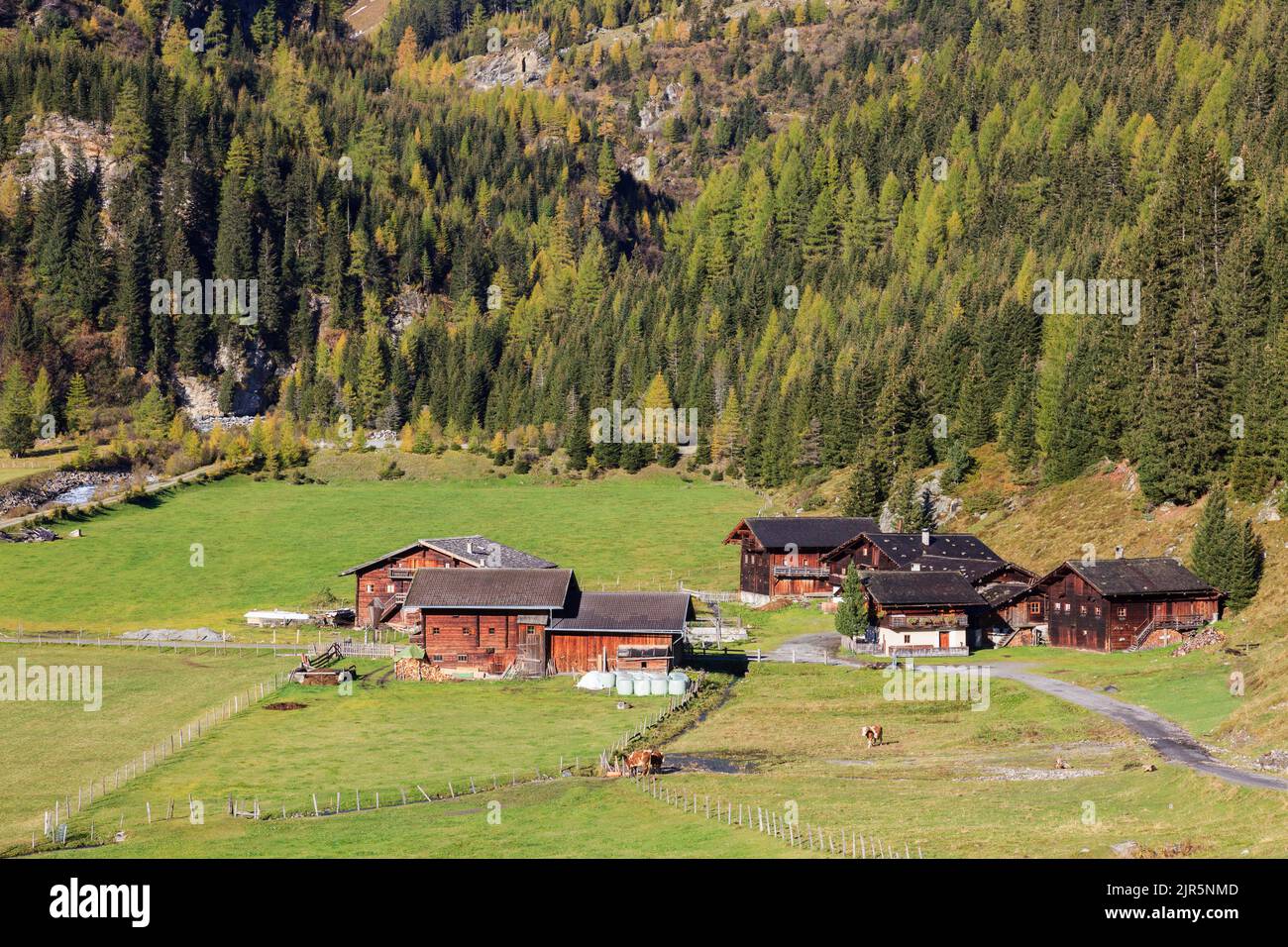 Alp farm in a valley Stock Photo