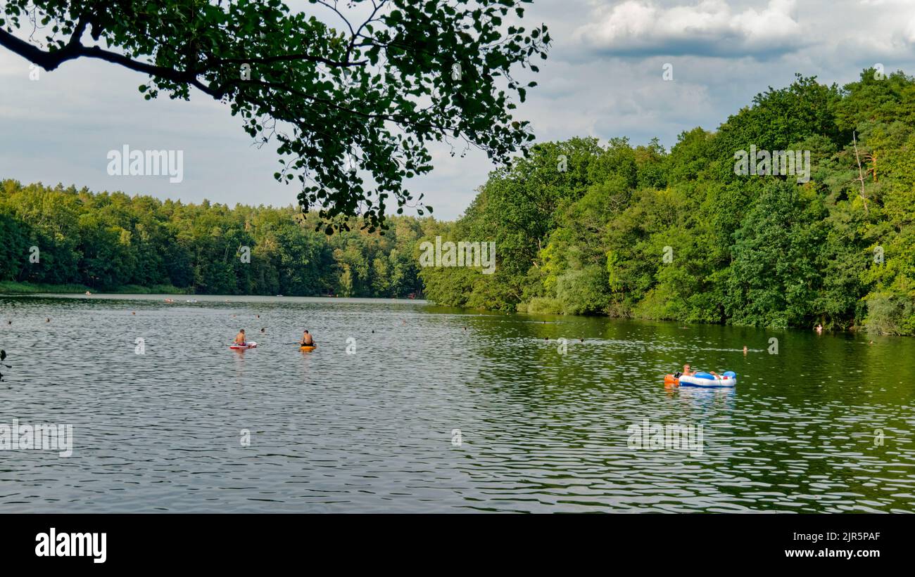 Krumme Lanke, Badesee, Sommer in Berlin,  See, Bezirk Steglitz-Zehlendorf, Grunewald, Berlin, Deutschland, Europa Stock Photo