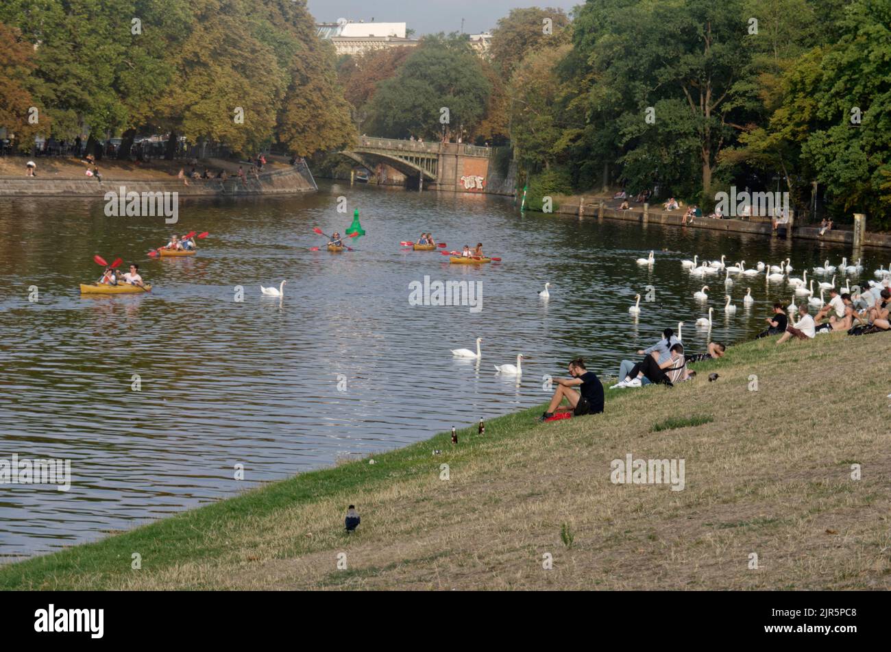 Vertrocknete Grünflache am Urbanhafen in Berlin-Kreuzberg, Trockenheit, Dürre, Hitze, Sommer, Klimawandel, Deutschland Stock Photo