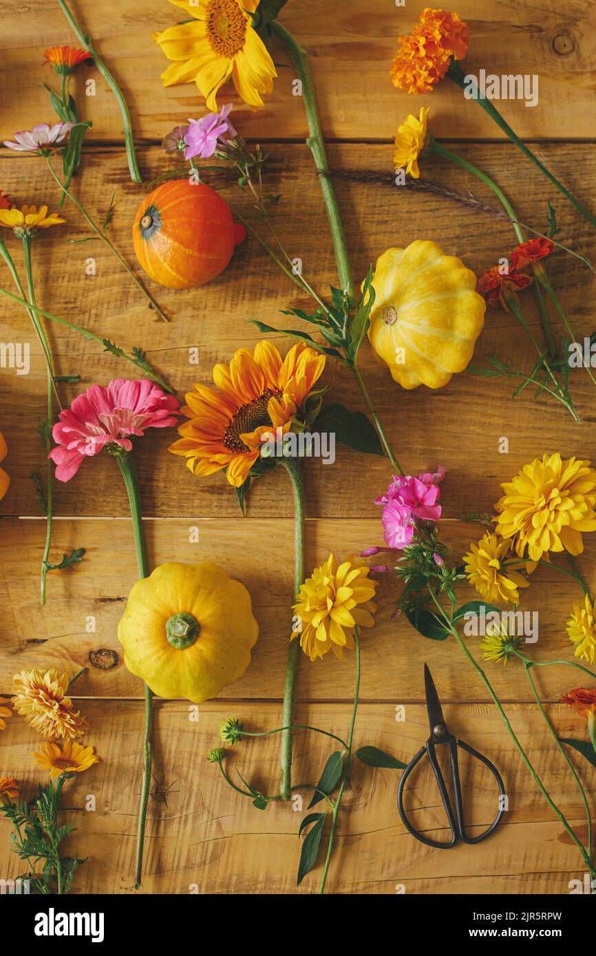 Autumn rustic composition. Colorful autumn flowers, pumpkins, pattypan squashes, scissors on wooden table flat lay. Harvest time in countryside, arran Stock Photo