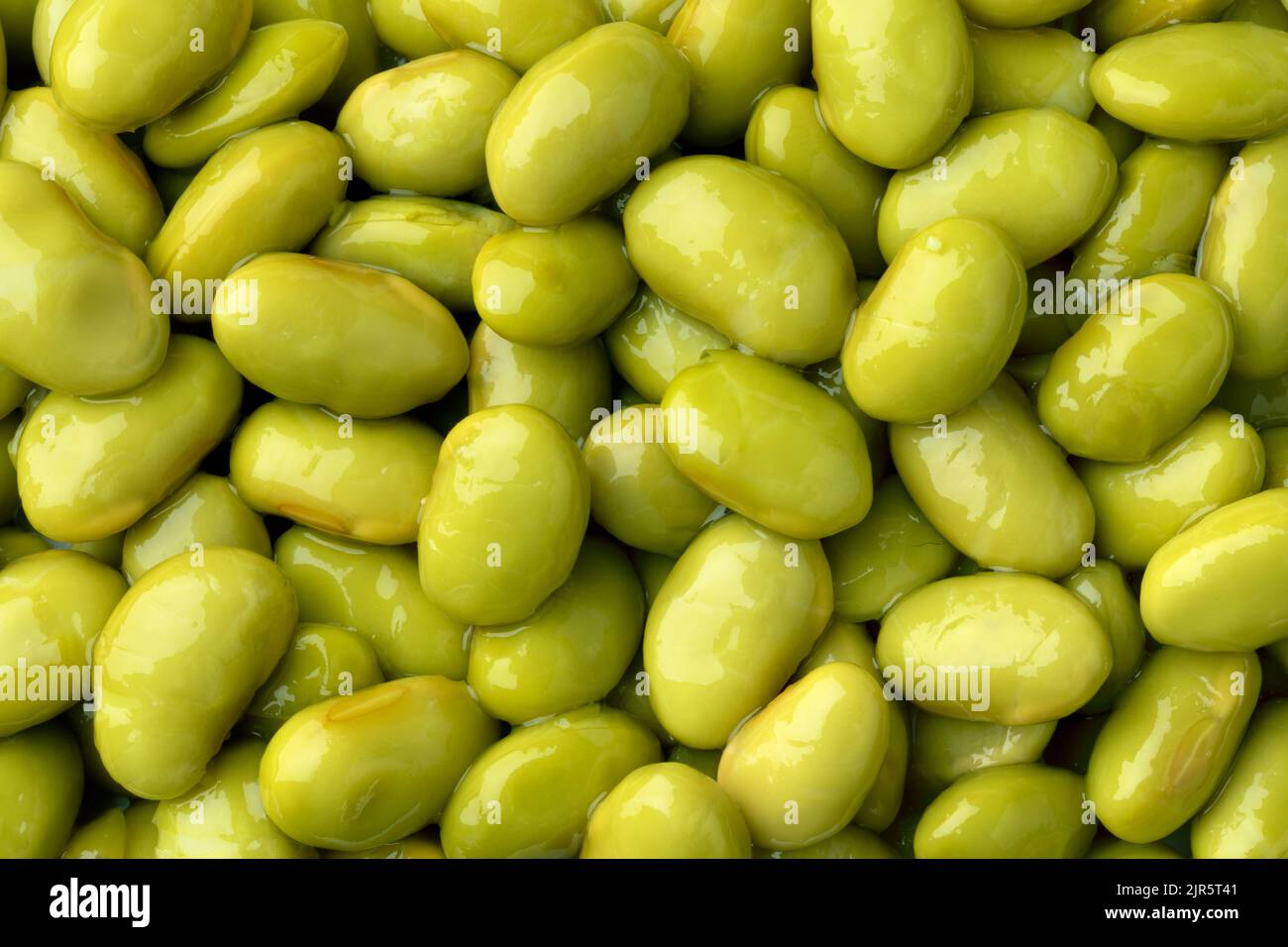 Preserved steamed edamame beans close up full frame as background Stock Photo