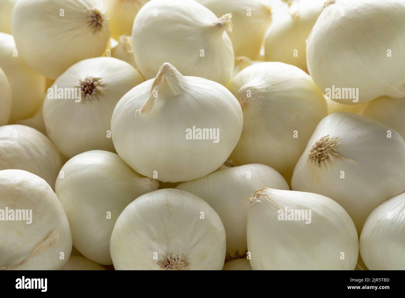 Fresh raw pearl onions close up full frame as background Stock Photo
