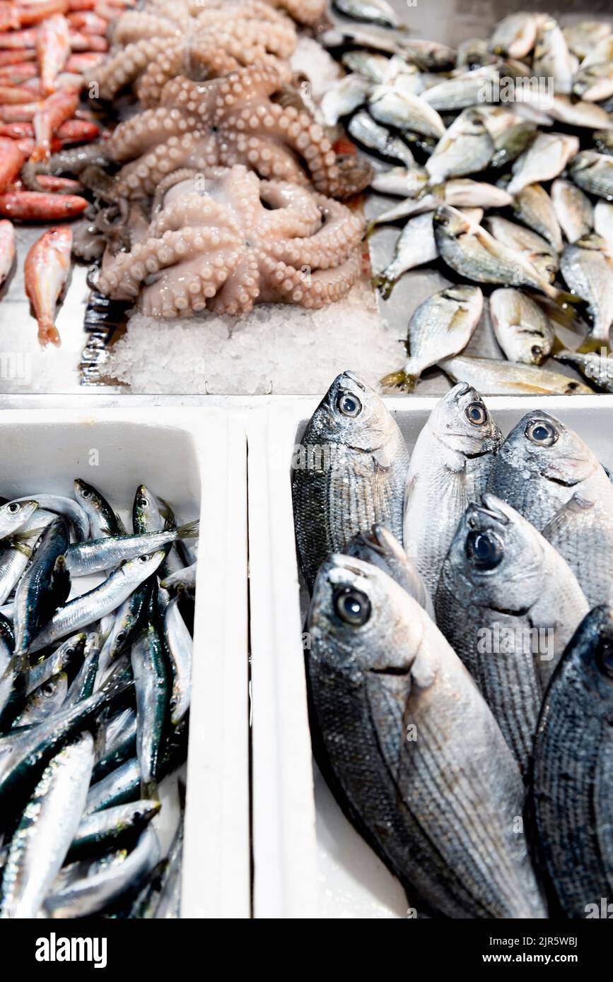 Fresh seafood at the market Stock Photo