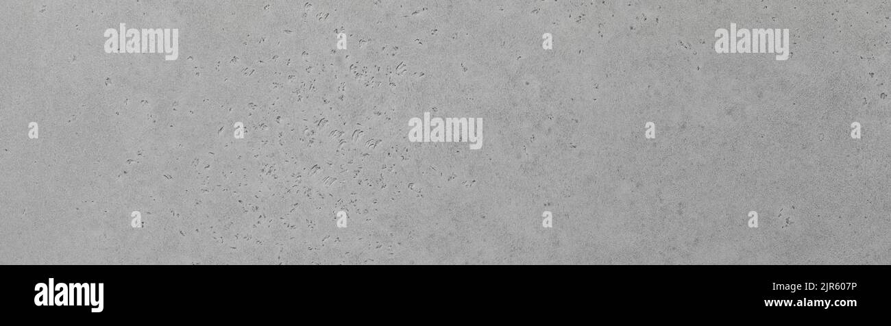 Line header banner with grey stone background copy space for design ...