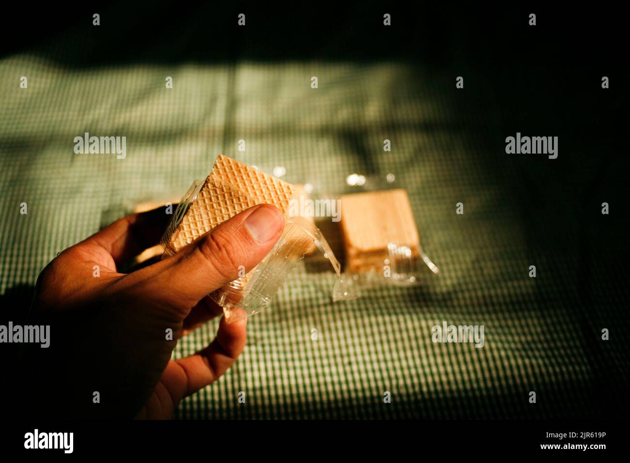 Hand holding square wafer biscuits Stock Photo