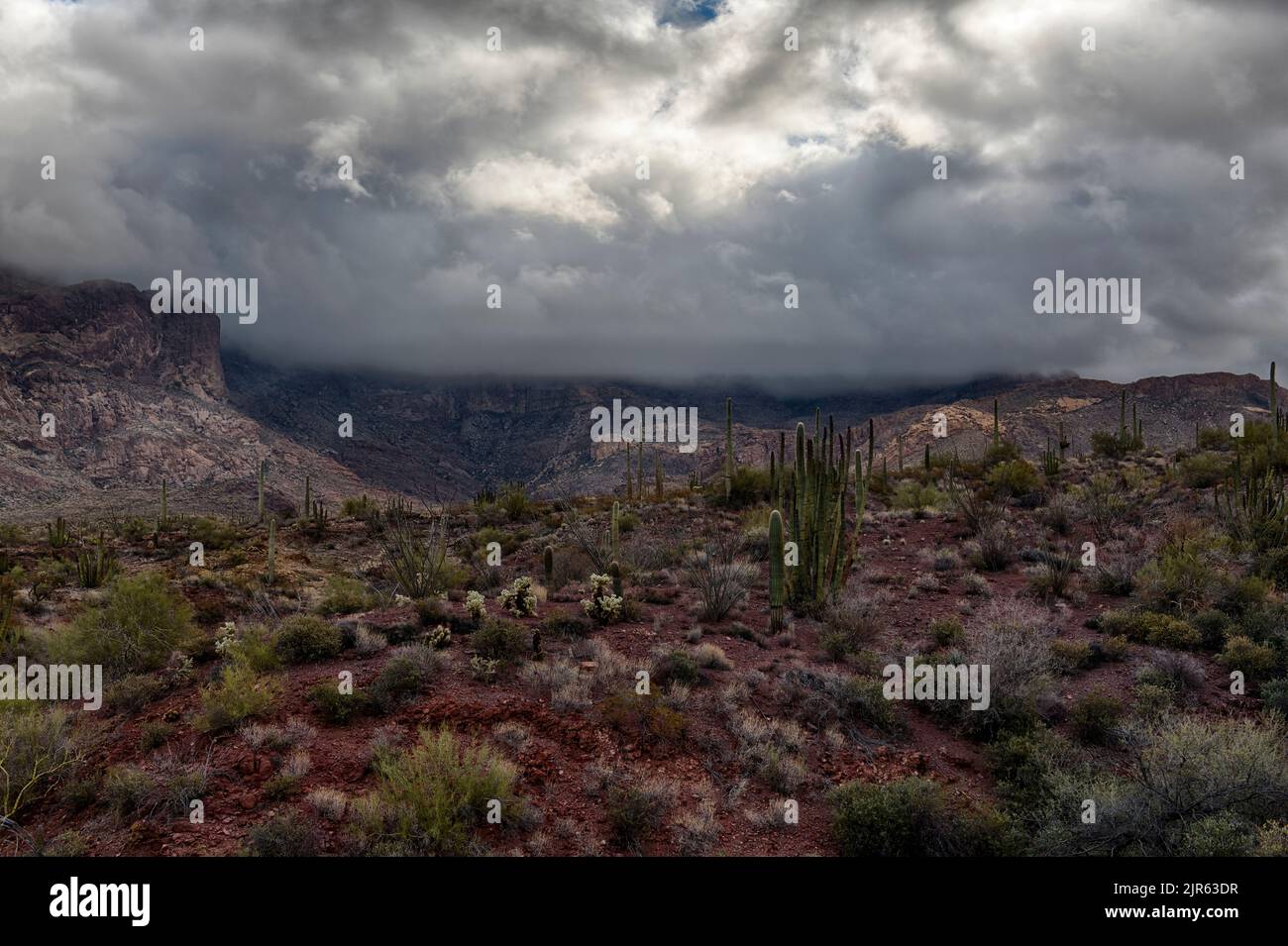 Storm building up  in Organ Pipe Cactus National Monument, southern Arizona. Stock Photo