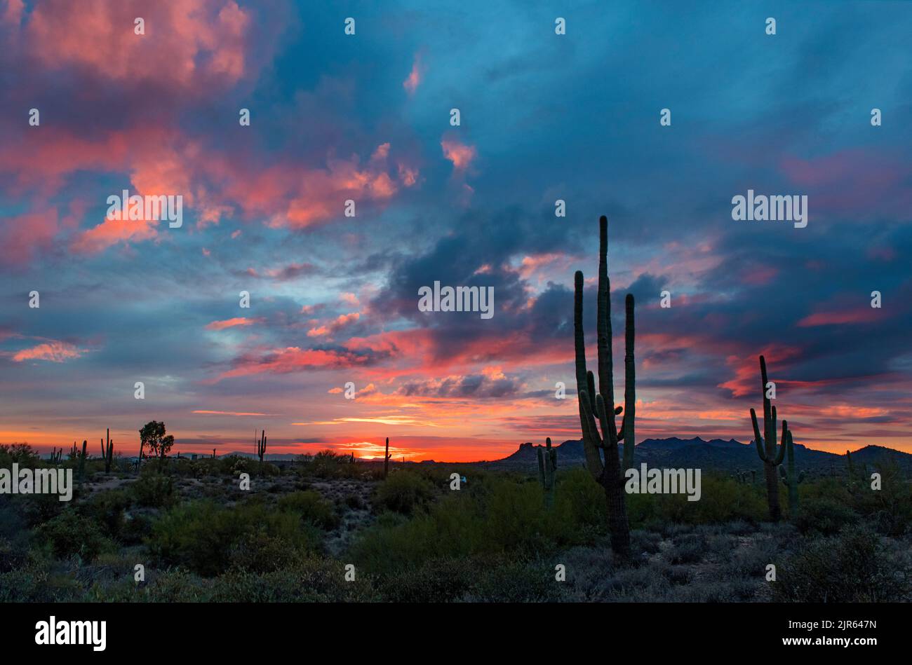 Sunset in The Superstitions, Arizona Stock Photo