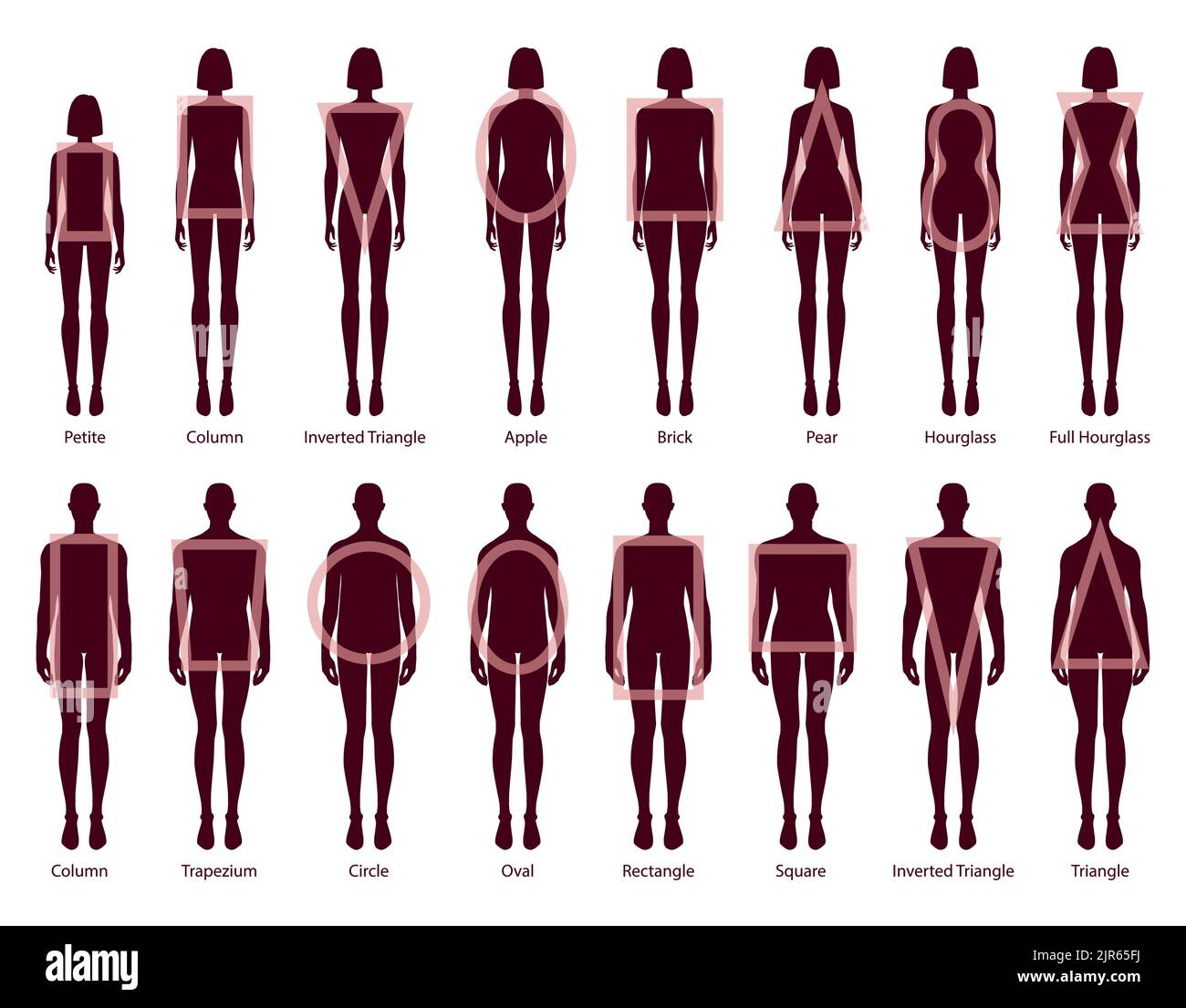 Set of Women Men body shapes silhouette types. Male and Female Vector illustration in cartoon style 9 head size Gentlemen and lady figure view. Vector outline isolated boy and girl for illustration. Stock Vector