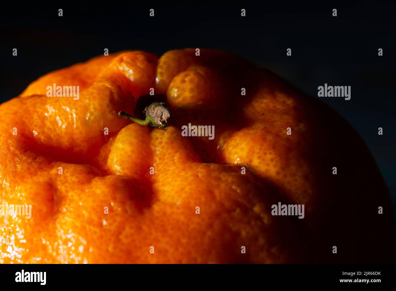 The mandarin orange on a dark background Stock Photo