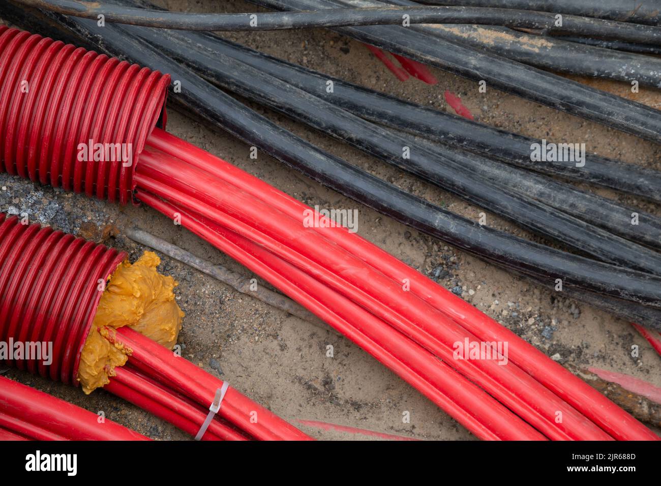 Network cables in red corrugated pipe are buried underground on the