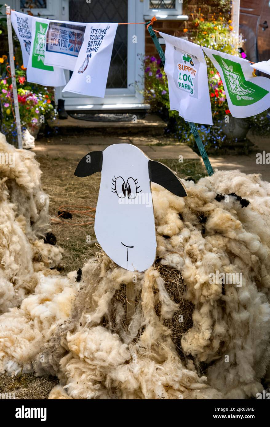 Flamstead Scarecrow Festival -Back British Farming flyers with Support Local Farmers flyers - 5 reasons to back British Farming with sheeps wool Stock Photo
