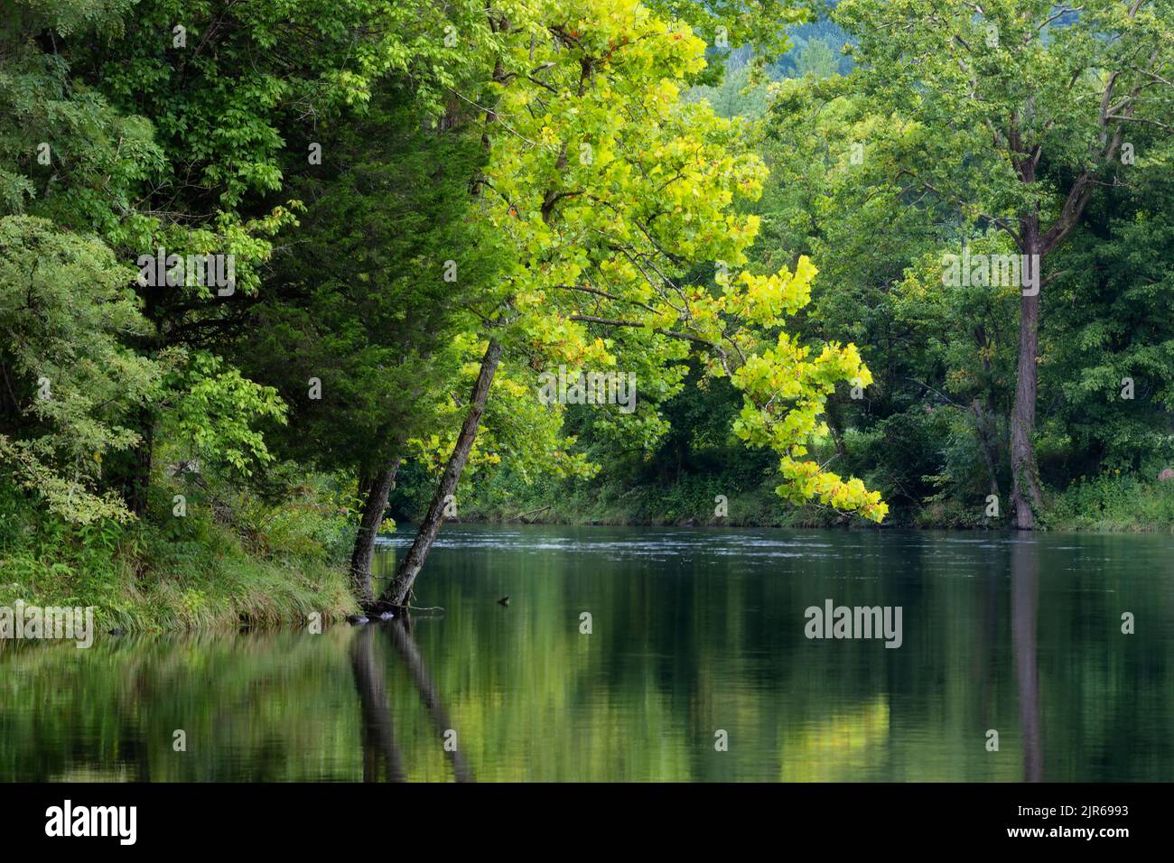Tranquil nature scene along the South Holston River in Bristol Tennessee Stock Photo