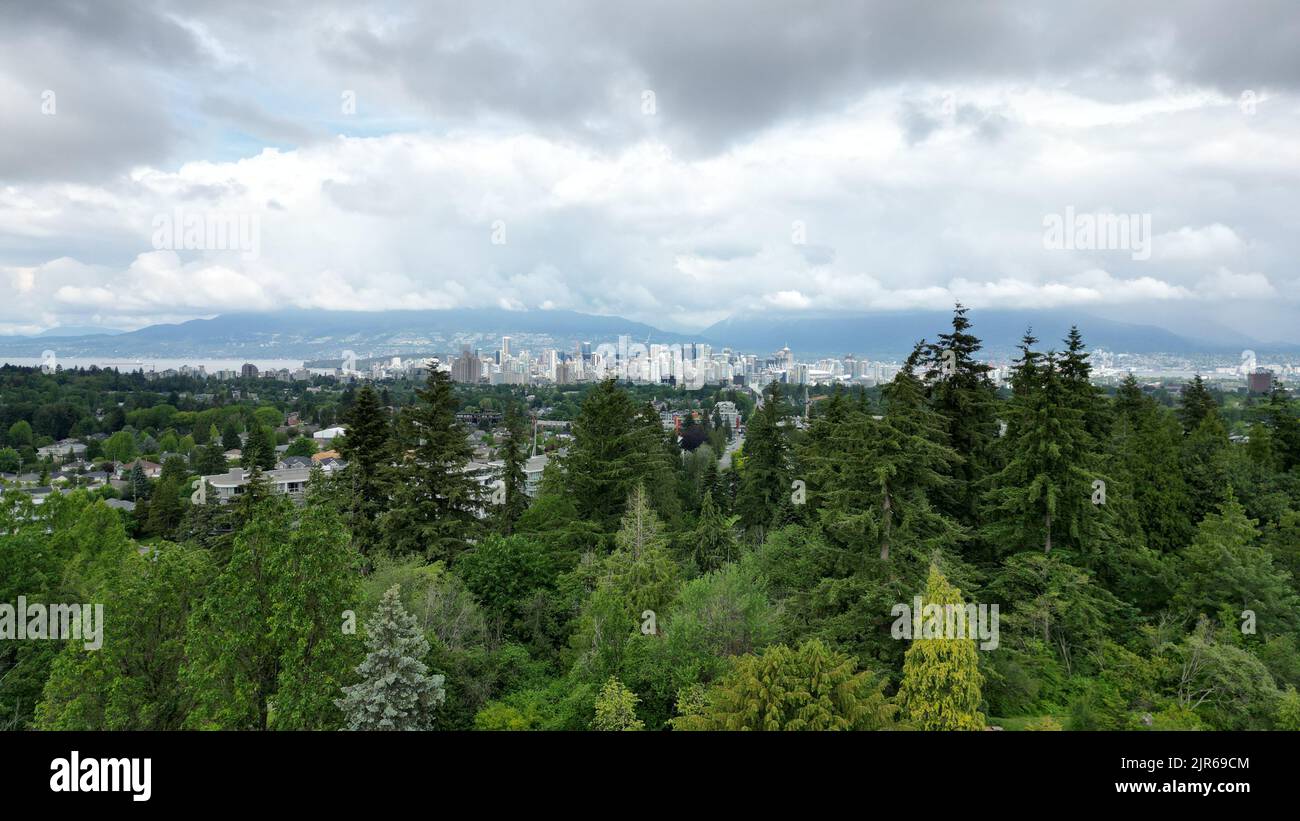 An aerial view of pine trees in park with a city in the background ...