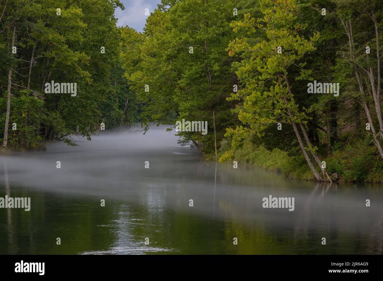 Light summertime low hanging fog over the South Holston River in Tennessee. Stock Photo