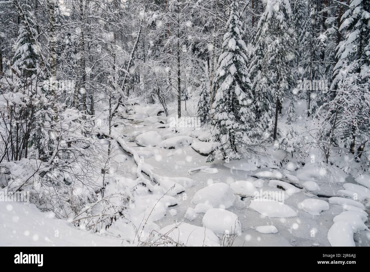 Winter landscape with fair trees under the snow Stock Photo - Alamy