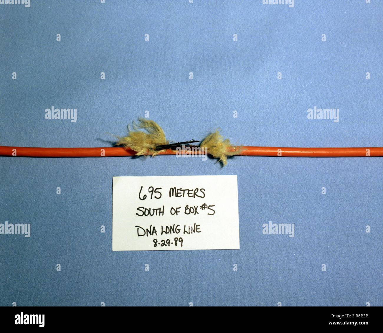 A89977 FIBER OPTICS DNALONGLINE CABLE DAMAGE STRAWN (Project Engineer