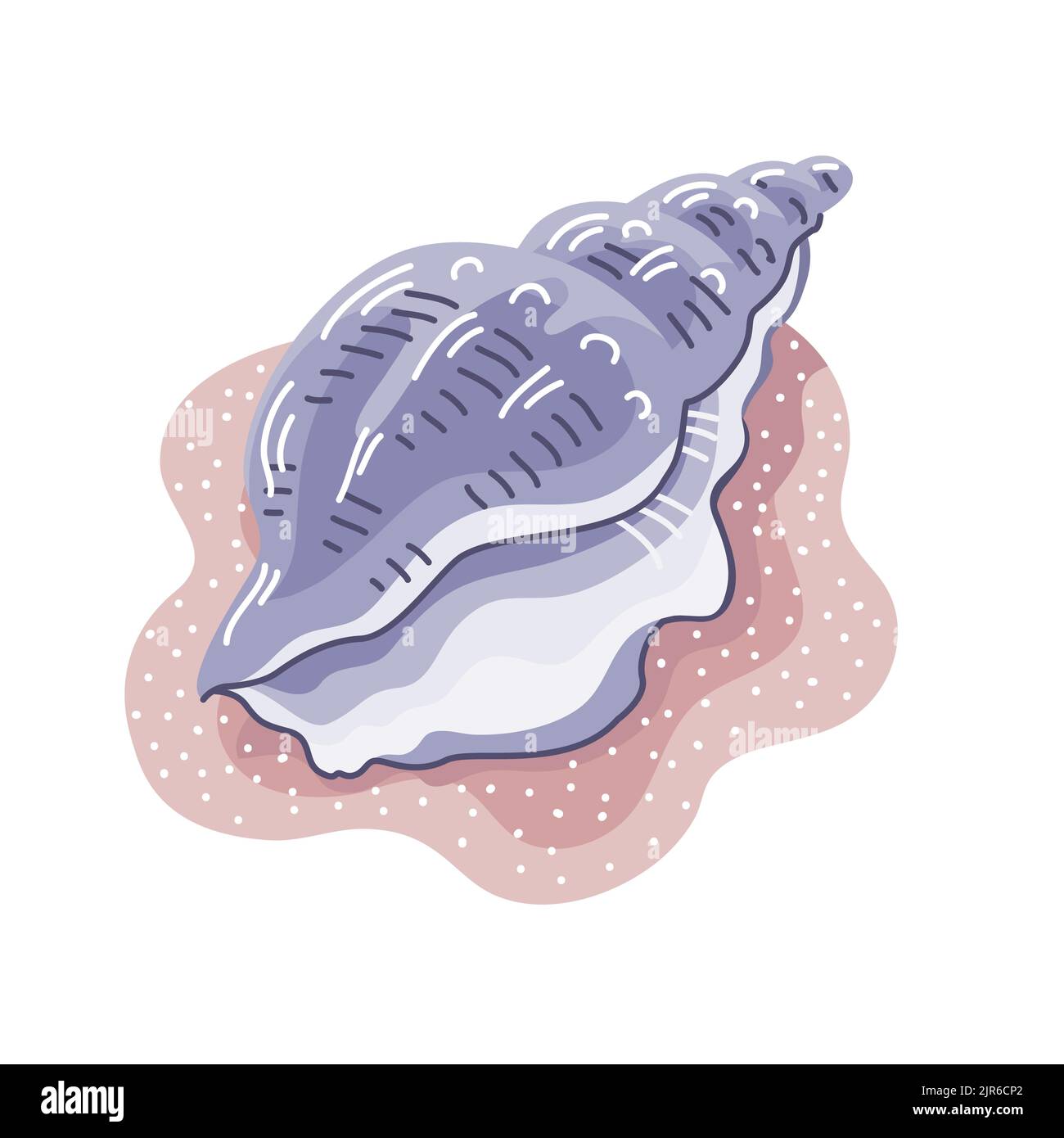 Seashell shell on the sand. Marine underwater twisted seashell. Spiral