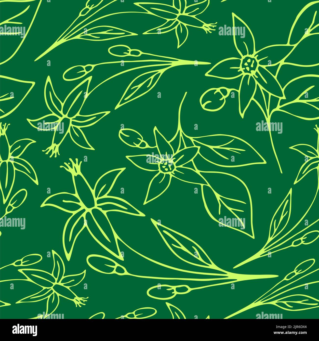 Single Repeat Pattern Olive Olive repeating abstract background hi-res stock photography and images ...