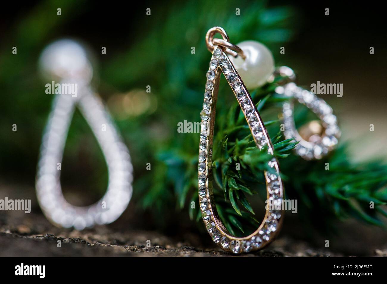 A closeup shot of a hanging earring with a pearl and diamond on a pine branch Stock Photo