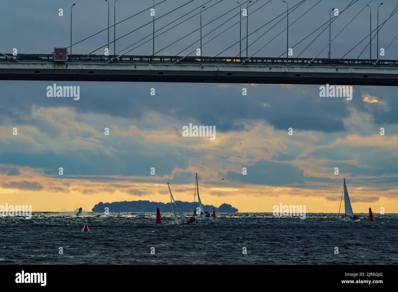 Russia, St. Petersburg, 29 July 2022: Few small sport sailing boats at sunset with stormy sky, highly cable-stayed bridge on background Stock Photo