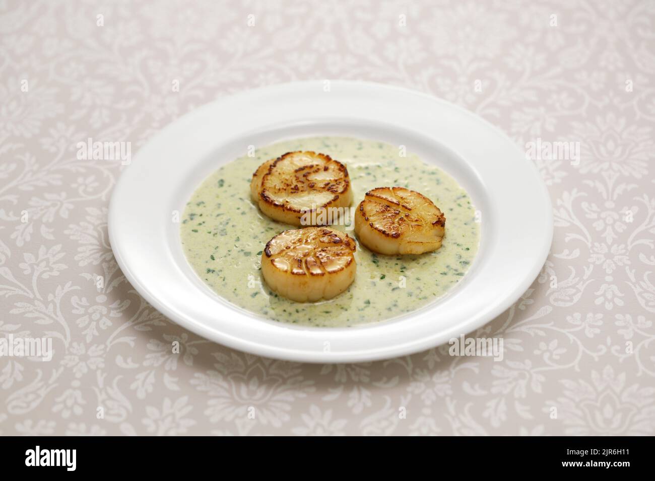 seared scallops, French cuisine Stock Photo