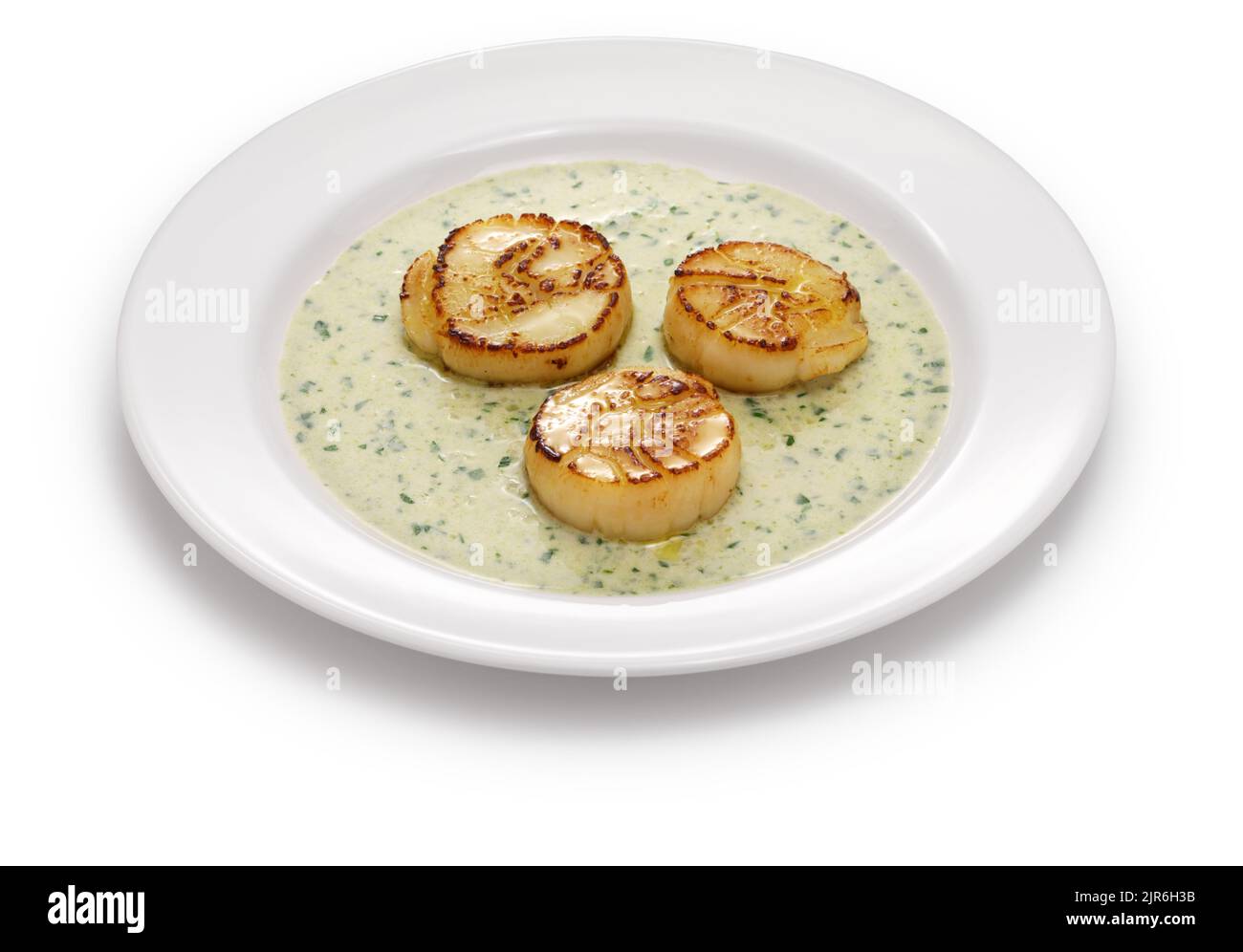 seared scallops, French cuisine Stock Photo Alamy
