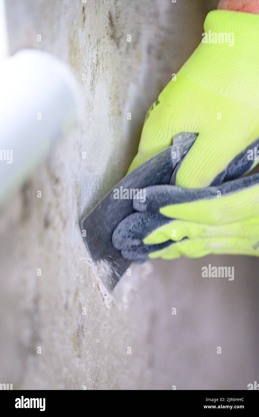 Fungus and mold is a manifestation of excess moisture in the room, a