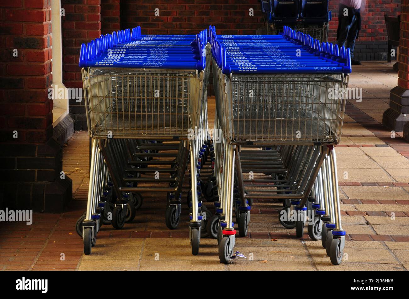 Tesco shopping trolleys parked Stock Photo Alamy