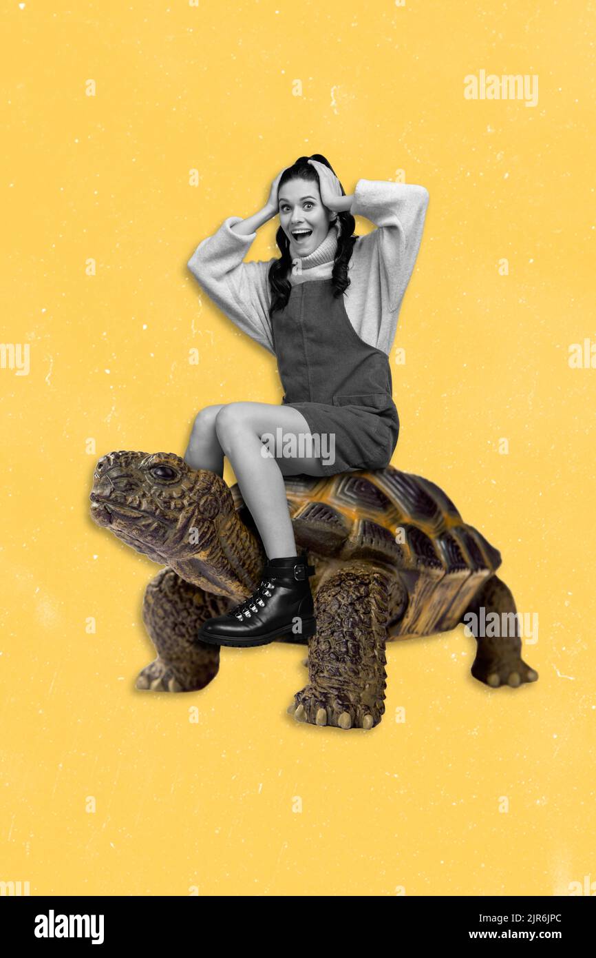 Collage 3d image of pinup pop retro sketch of impressed surprised lady riding big huge turtle isolated painting background Stock Photo