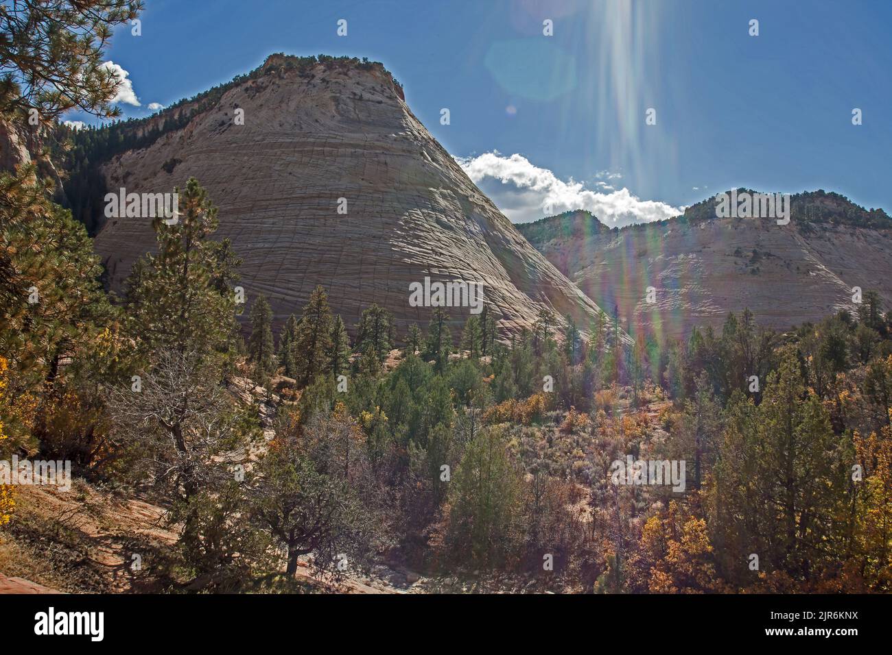 Sandstone rock formations along Zion Boulevard in Zion National Park. Utah Stock Photo