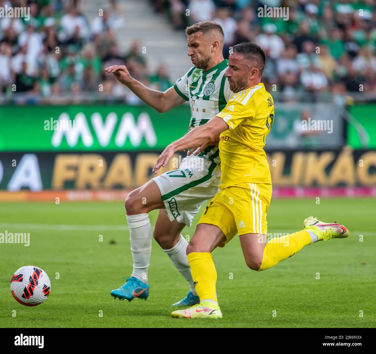 Scarf - UECL - KRC - Ferencvaros