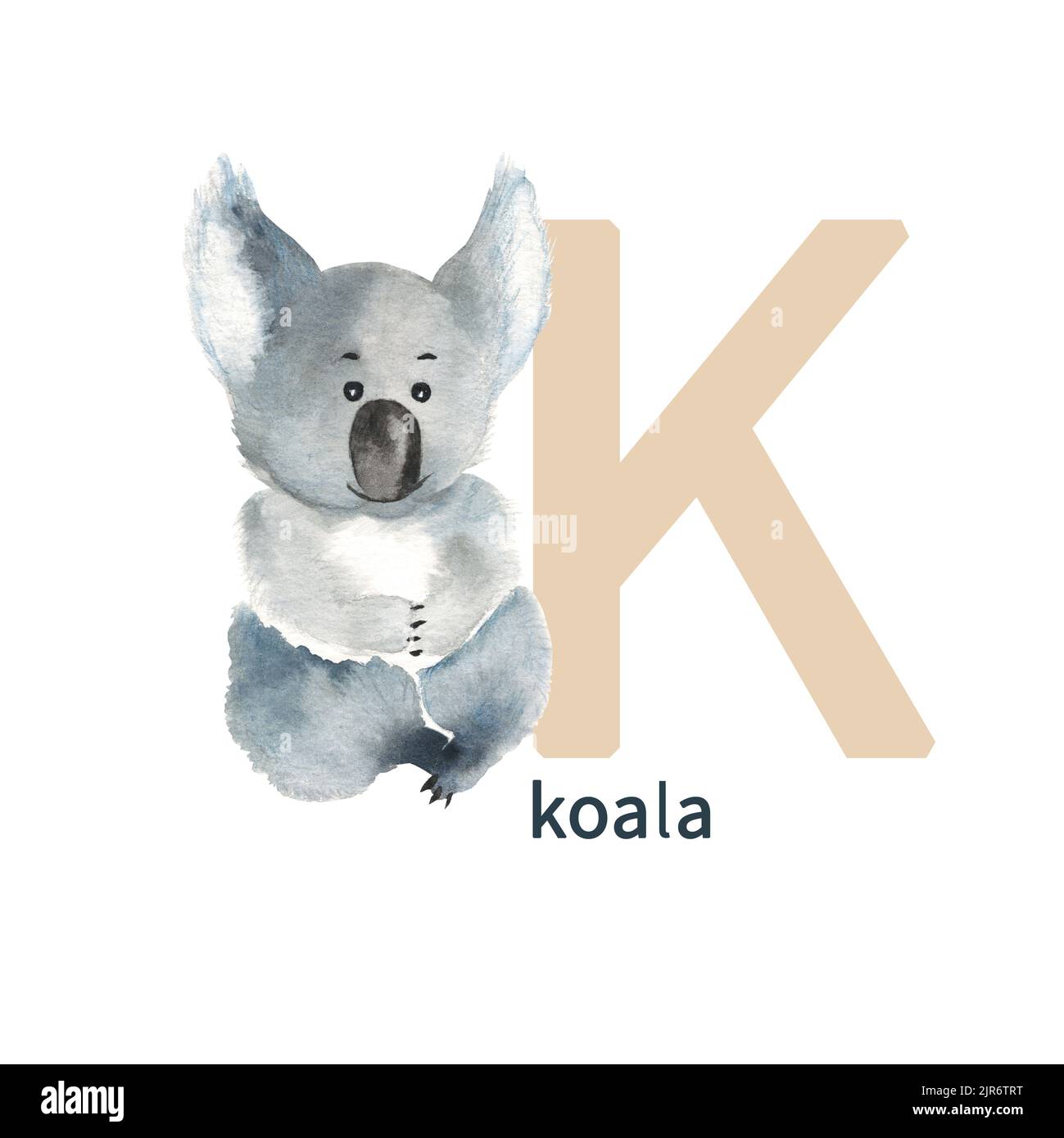 Animal alphabet k hi-res stock photography and images - Page 2 - Alamy