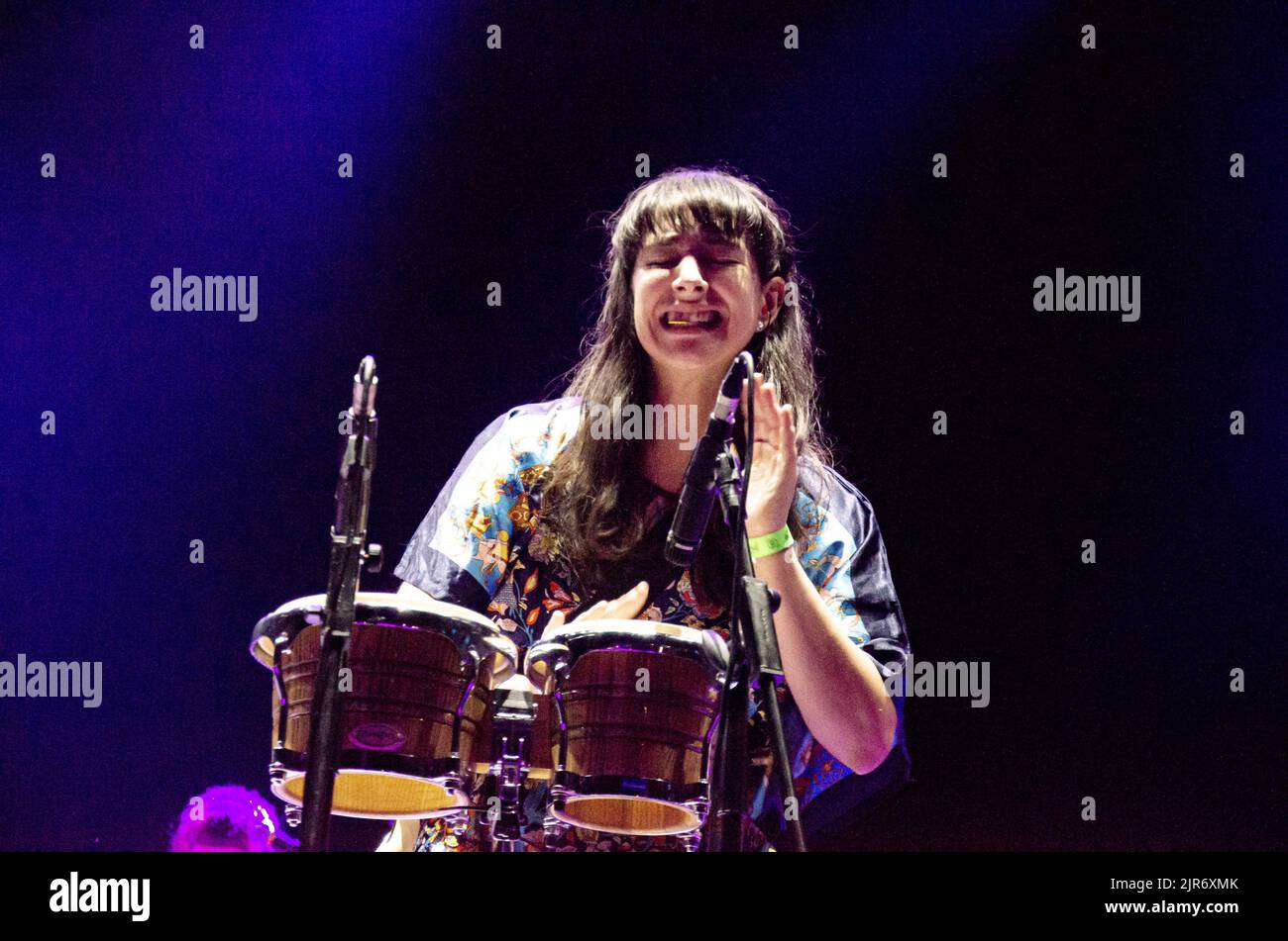 Serra petale hi-res stock photography and images - Alamy