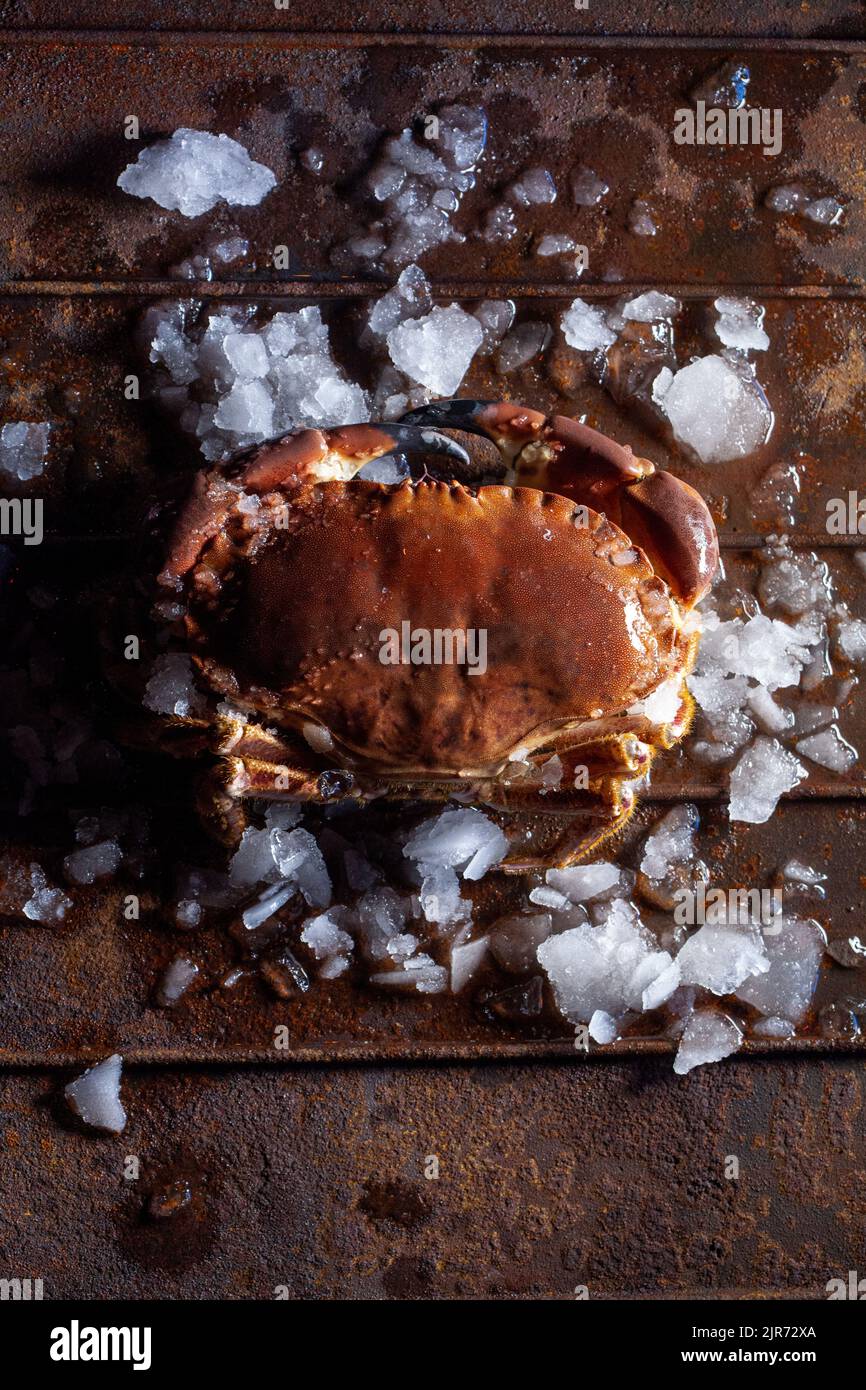 Fresh raw crab on ice from above Stock Photo