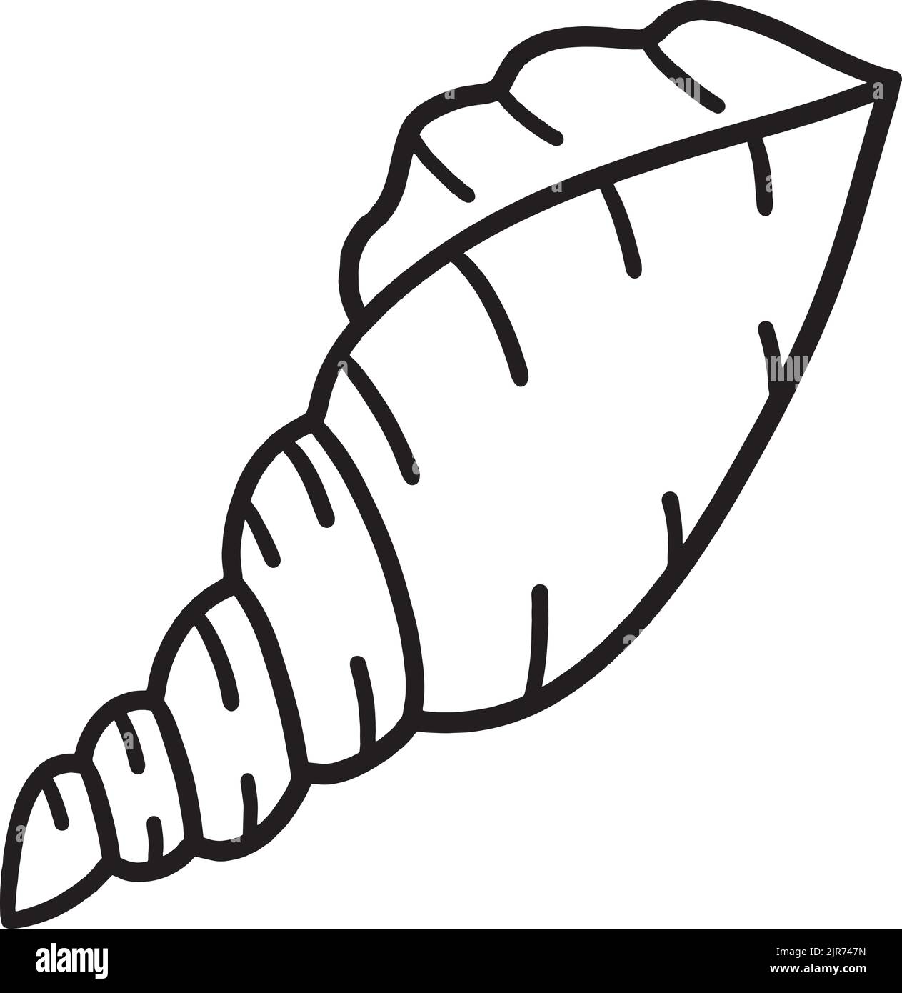 Sea Shell Isolated Coloring Page for Kids Stock Vector