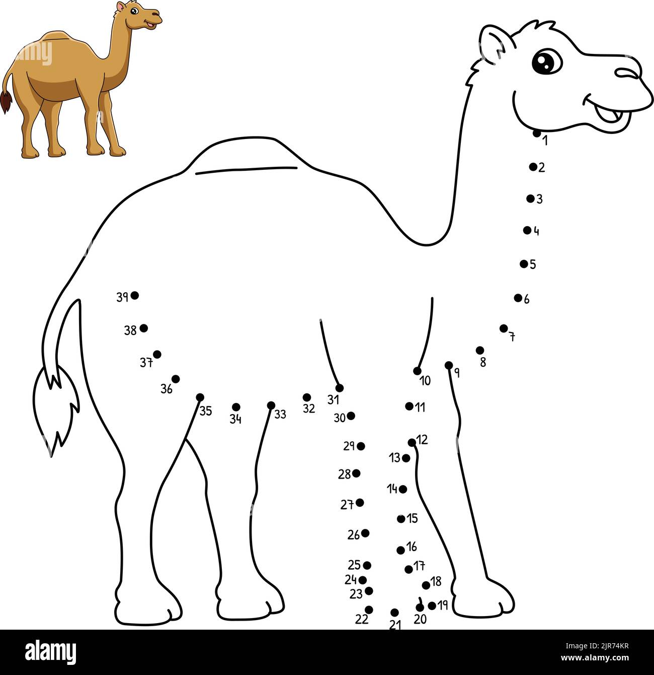 Dot to Dot Dromedary Coloring Page for Kids Stock Vector