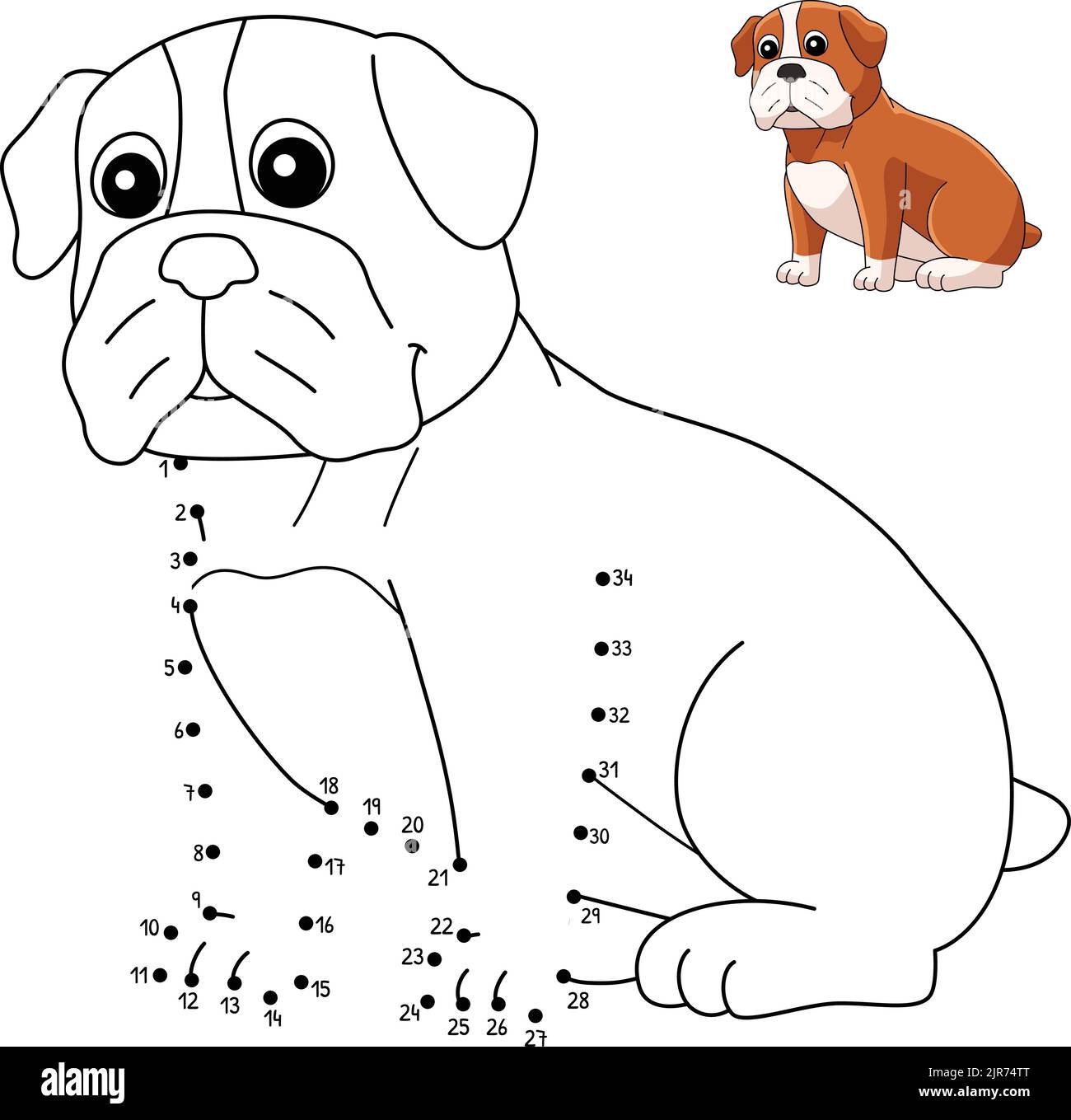 Dot to Dot Bulldog Coloring Page for Kids Stock Vector