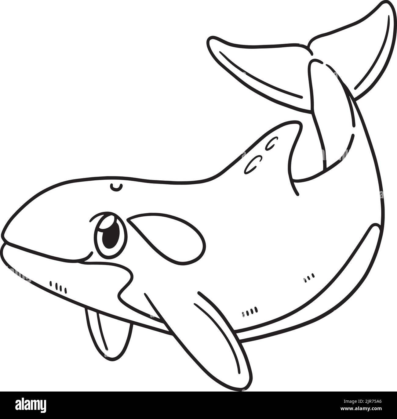 Killer Whale Isolated Coloring Page for Kids Stock Vector