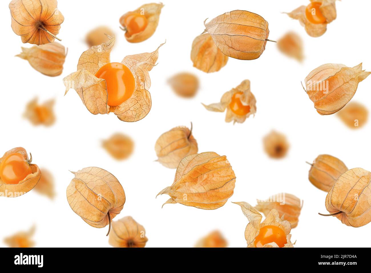 Falling Cape gooseberry, physalis isolated on white background, selective focus Stock Photo
