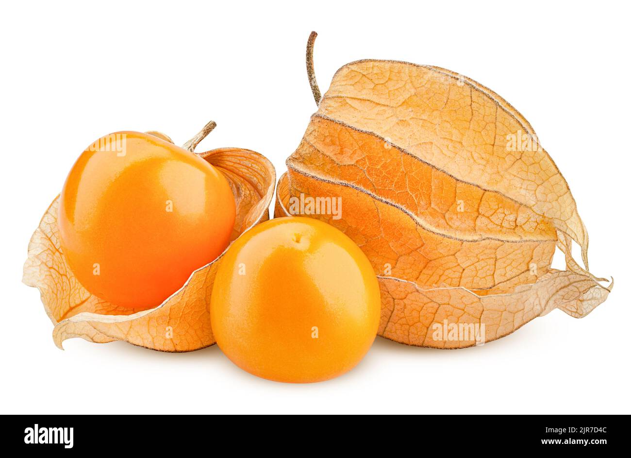 Cape gooseberry, physalis isolated on white background, clipping path, full depth of field Stock Photo
