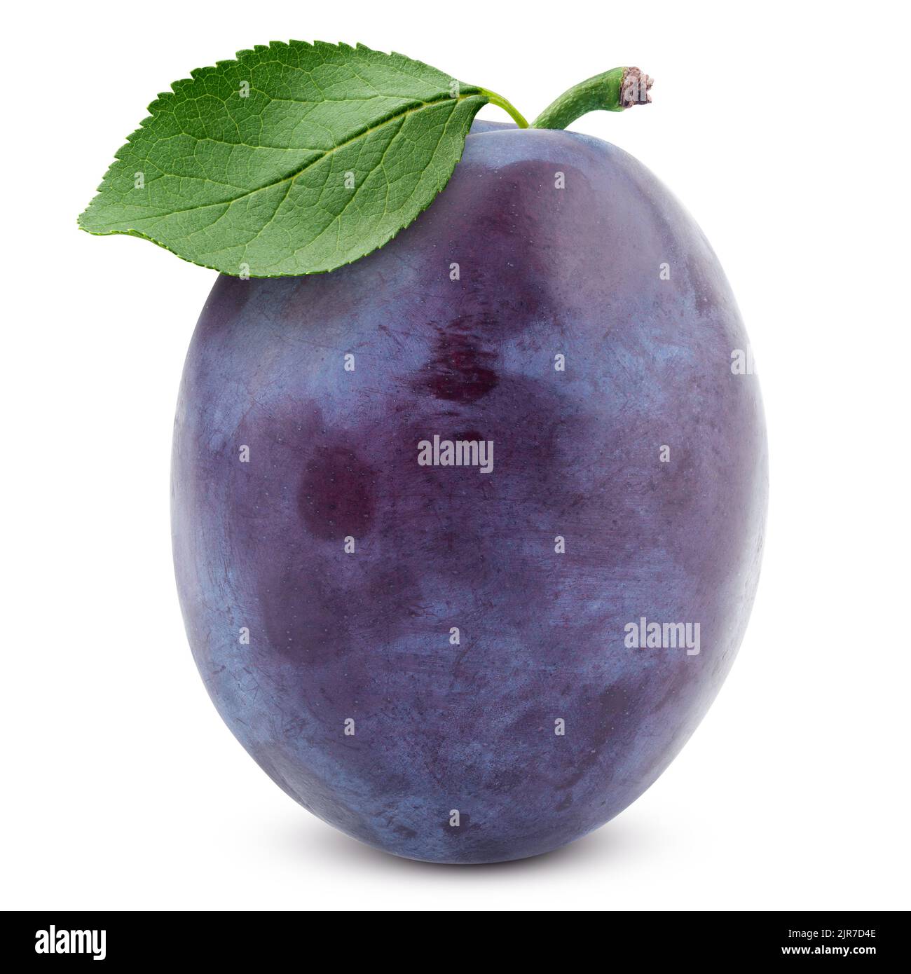 plum isolated on white background, clipping path, full depth of field Stock Photo