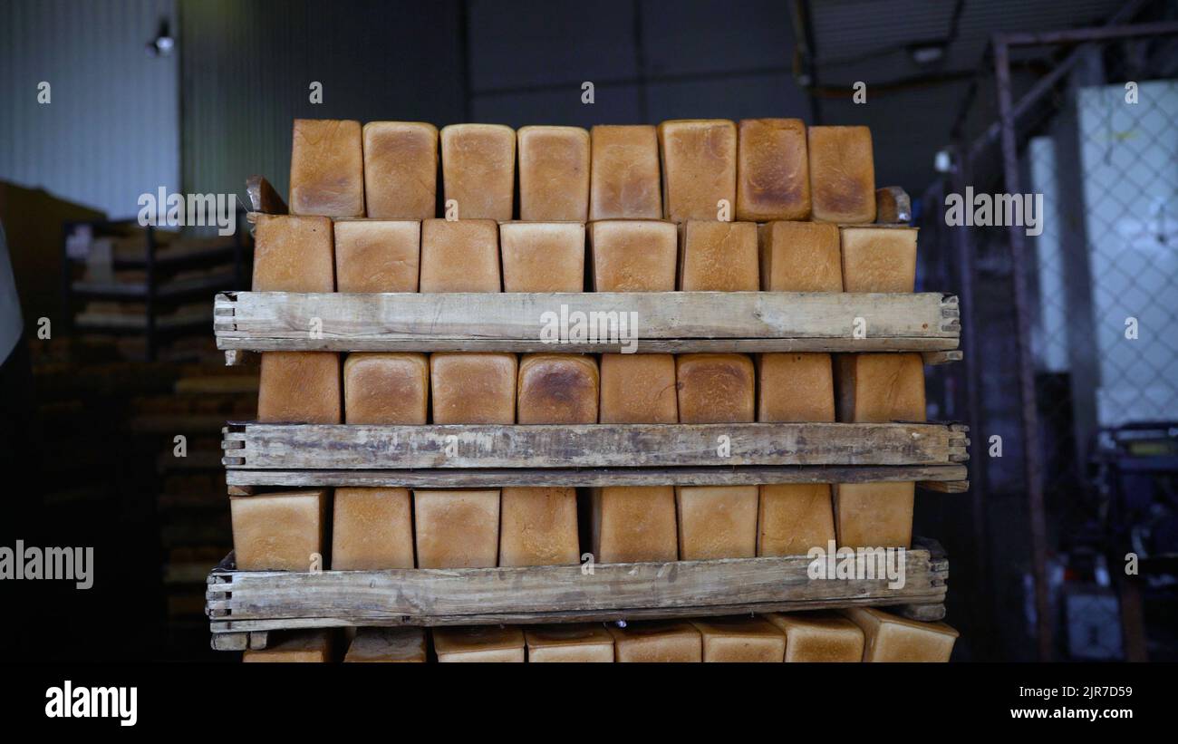 Loaves distribution hi-res stock photography and images - Alamy